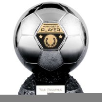 Elite Heavyweight Managers Player Football Football Trophy | Platinum to Black | 200mm | G25