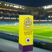Prodigy Tower Player Of The Match Football Trophy | Yellow & Purple | 160mm | G23