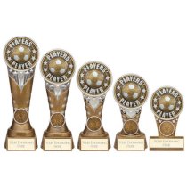 Ikon Tower Players Player Football Trophy | Antique Silver & Gold | 175mm | G24
