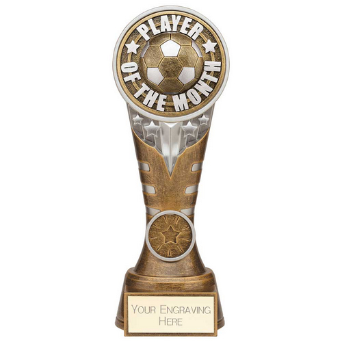 Ikon Tower Player of the Month Football Trophy | Antique Silver & Gold | 200mm | G24