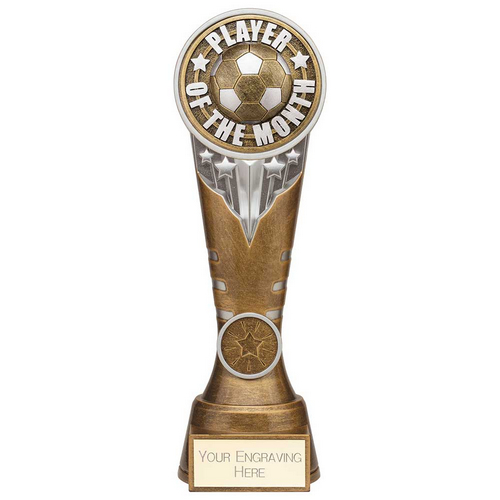 Ikon Tower Player of the Month Football Trophy | Antique Silver & Gold | 225mm | G24