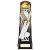 Shard Cricket Trophy |  Fusion Gold & Carbon Black | 230mm | G7 - PA24021A