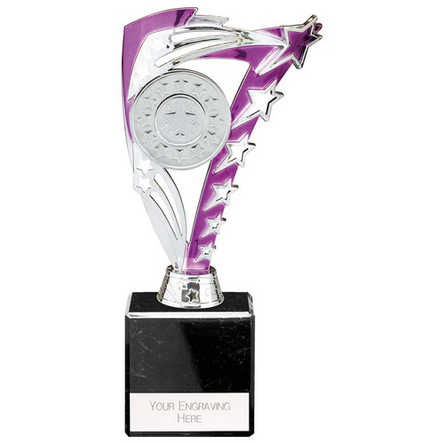 Frenzy Silver & Purple Trophy | 215mm | E4294B