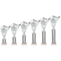 Frenzy Silver Tube Trophy | 240mm | E1408D