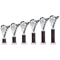 Frenzy Silver & Black Tube Trophy | 265mm | G9