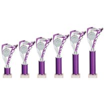 Frenzy Silver & Purple Tube Trophy | 240mm | G9