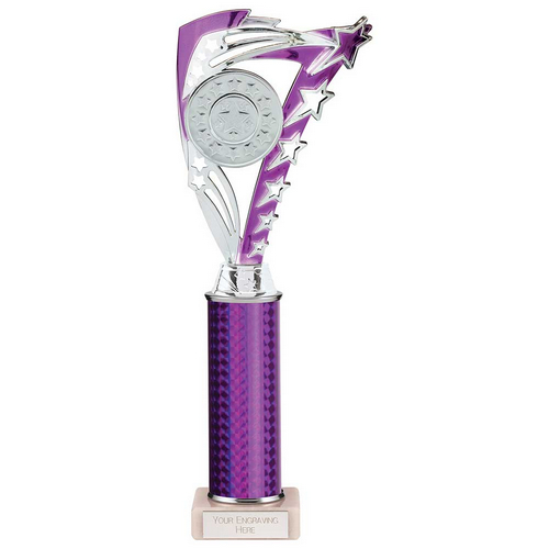 Frenzy Silver & Purple Tube Trophy | 315mm | G9