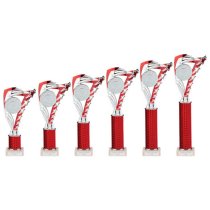 Frenzy Silver & Red Tube Trophy | 240mm | G9