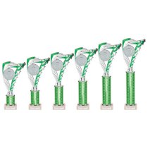 Frenzy Silver & Green Tube Trophy | 290mm | E1408D