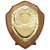 Reward Replica Shield  | Walnut & Gold | 100mm |  - PS24560A