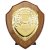 Reward Replica Shield  | Walnut & Gold | 150mm |  - PS24560C