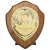 Reward Replica Shield  | Walnut & Gold | 175mm |  - PS24560D