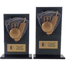 Jet Glass Shield Cricket Trophy | 140mm | G25