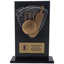 Jet Glass Shield Cricket Trophy | 140mm | G25