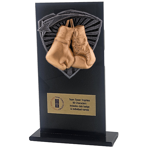 Jet Glass Shield Boxing Trophy | 160mm | G25