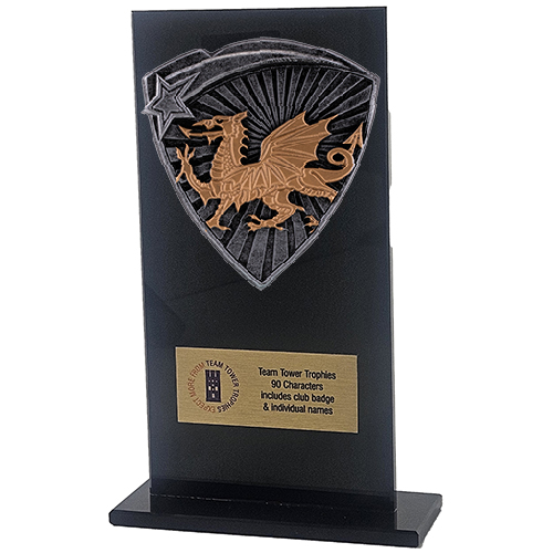 Jet Glass Shield Welsh Trophy | 160mm | G25