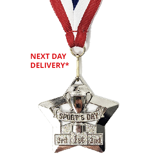 Mini Star Sports Day Medal & Ribbon | 60mm | Silver