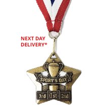 Mini Star Sports Day Medal & Ribbon | 60mm | Bronze