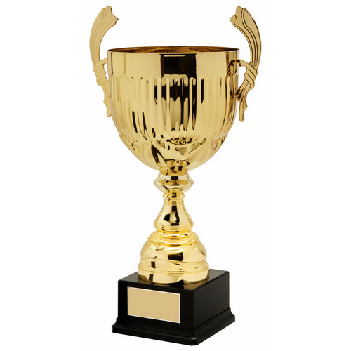 Torus Presentation Cup With Handles | Gold | 550mm