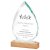 Flint Crystal Award with Wood Base | 250mm - T4108