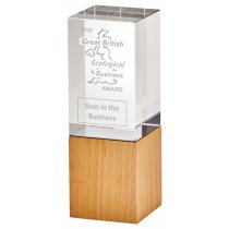 Spa Crystal Award with Wood Base | 170mm