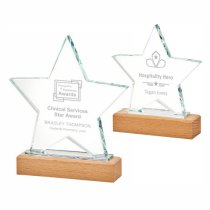 Wave Crystal Award with Wood Base | 170mm