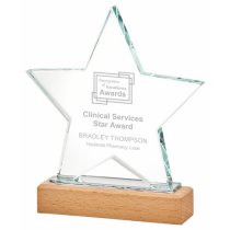 Wave Crystal Award with Wood Base | 210mm