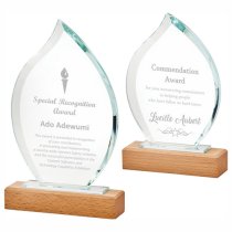 Tear Drop Award with Wood Base | 205mm