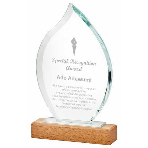 Tear Drop Award with Wood Base | 245mm