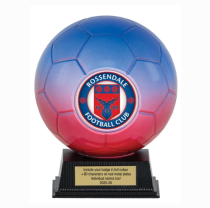 Kit Kolour Football Match Ball Trophy | Blue & Red | 145mm