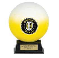 Kit Kolour Football Match Ball Trophy | Yellow & White | 145mm