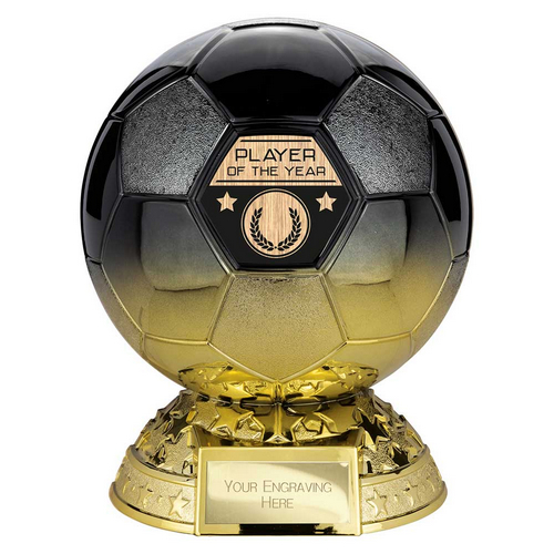 Elite Football Trophy | Heavyweight | Player of the Year | 185mm | Black & Gold