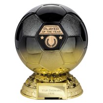 Elite Football Trophy | Heavyweight | Player of the Year | 205mm | Black & Gold