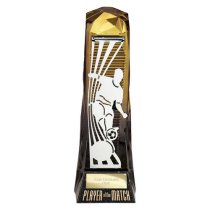 Shard Male Football Trophy | Player of the Match | 230mm | Black & Gold