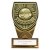 Fusion Cobra Football Trophy Plaque | Player of the Year | 110mm | Black & Gold - PM25111A