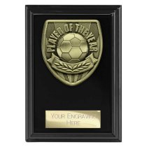 Cobra Plaque Football Trophy | Player of the Year | 125mm | Black