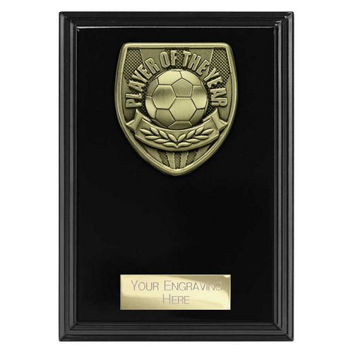 Cobra Plaque Football Trophy | Player of the Year | 150mm | Black