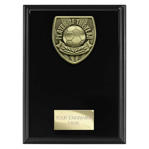 Cobra Plaque Football Trophy | Player of the Year | 175mm | Black