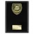 Cobra Plaque Football Trophy | Thank you Coach | 175mm | Black - PL25112D