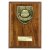 Cobra Plaque Football Trophy | Most Improved | 175mm | Brown - PN25107D