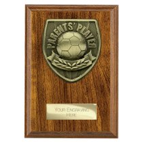 Cobra Plaque Football Trophy | Parents Player | 150mm | Brown