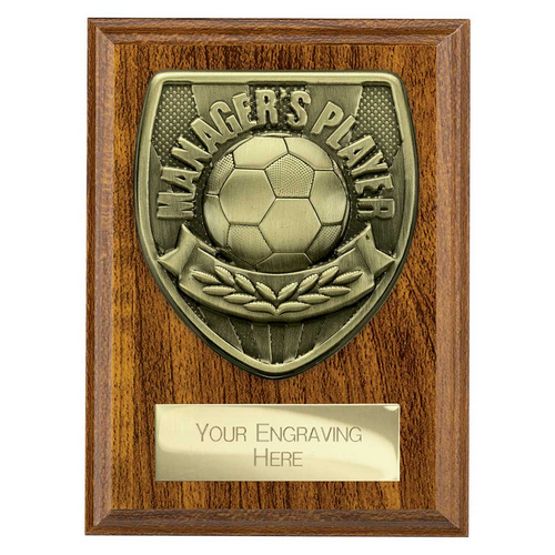 Cobra Plaque Football Trophy | Managers Player | 125mm | Brown