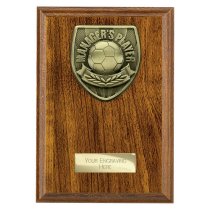 Cobra Plaque Football Trophy | Managers Player | 175mm | Brown