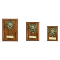 Cobra Plaque Football Trophy | Players Player | 125mm | Brown