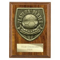 Cobra Plaque Football Trophy | Players Player | 125mm | Brown