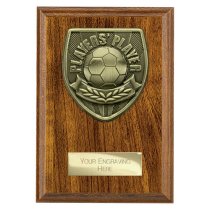 Cobra Plaque Football Trophy | Players Player | 150mm | Brown