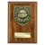 Cobra Plaque Football Trophy | Players Player | 150mm | Brown - PN25110C