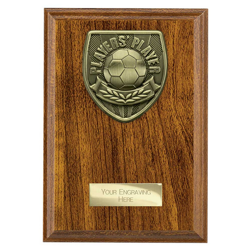 Cobra Plaque Football Trophy | Players Player | 175mm | Brown