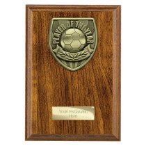 Cobra Plaque Football Trophy | Player of the Year | 175mm | Brown