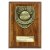 Cobra Plaque Football Trophy | Thank you Coach | 150mm | Brown - PN25112C